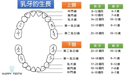 7月23號 牙齒大小